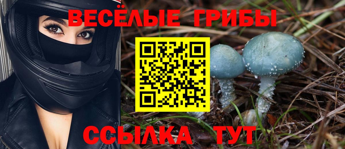 Тверь  Псилоцибиновые грибы Psilocybine cubensis  закладки  Вход с VPN 